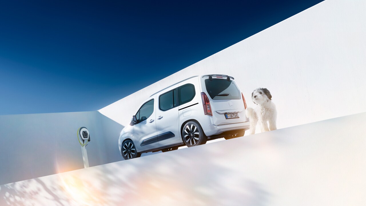 Vue arrière d'un Opel Combo Electric blanc et d'un chien à côté d'une Wallbox